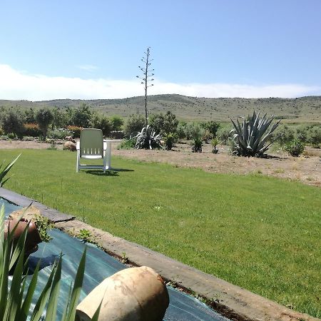Casa Los Olivos Grávalos Exteriér fotografie